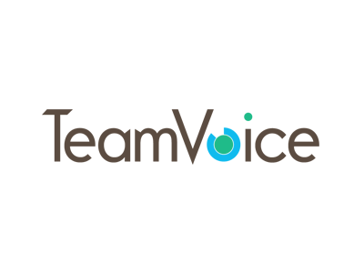 Team Voice