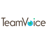 Team Voice